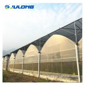 multi-span film vegetables greenhouse with hydroponic system